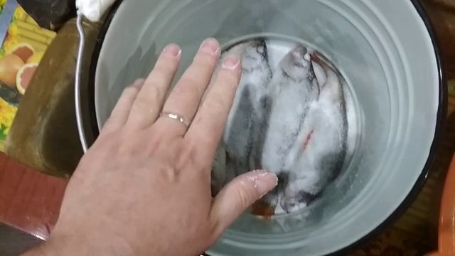 Засолка рыбы и икры в домашних условиях