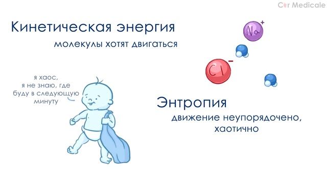 Осмос - что такое и как он влияет на клетки смотреть онлайн