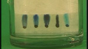 Опыты по химии. Смеси. Разделение смеси с помощью хроматографии