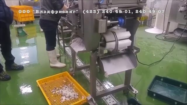 Установка переработки щупалец кальмара CHSA Q2 (ООО "Владфризинг") смотреть онлайн