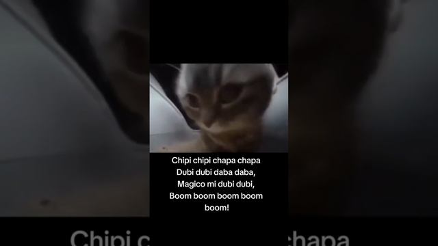 chipi_chipi_chapa_chapa_dubi_dubi_daba_daba смотреть онлайн