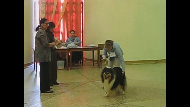 Сандра на выставке смотреть онлайн