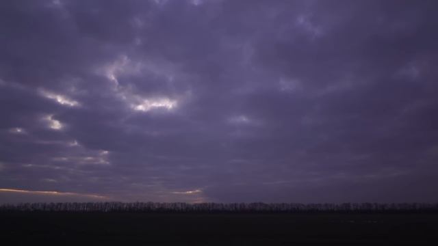 ГУСЬ 2023 / ОХОТА НА ГУСЯ смотреть онлайн