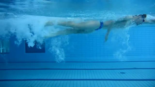 Swimming. Freestyle. Техника плавания кроль на груди. смотреть онлайн