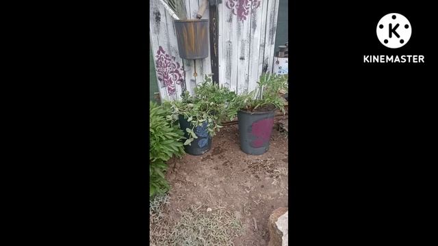 Садовый декор в стиле Прованс. Уголок садовника. смотреть онлайн