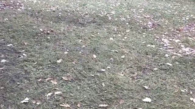 Поговорим про заезд на участок. смотреть онлайн