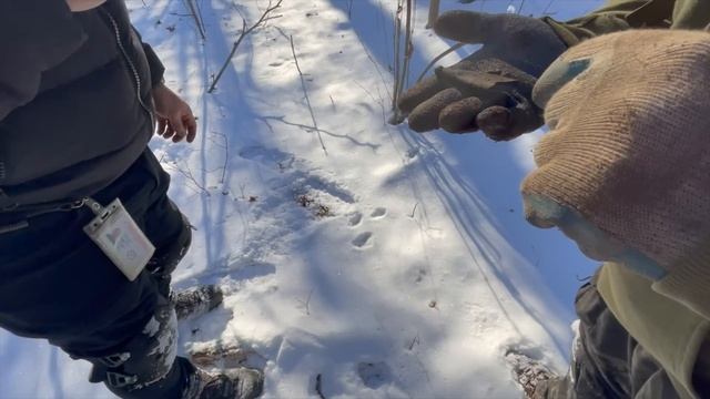 Metal Detecting The NYC Forests In The Snow: Finding Treasure After Rage Quitting ? смотреть онлайн