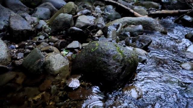 Graig Lwyd: A Neolithic Axe Landscape in North Wales смотреть онлайн