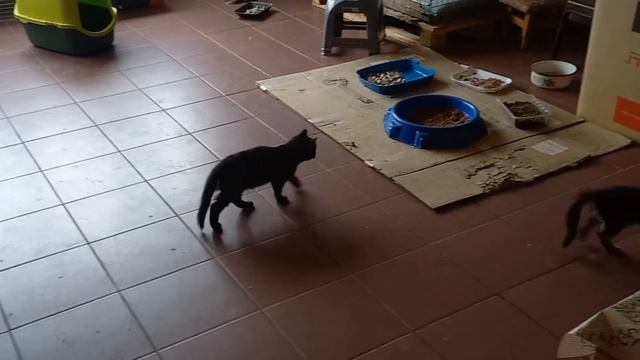 Кто мне завидует - могу уступить своё место. Отчет за 16.11.2023 смотреть онлайн