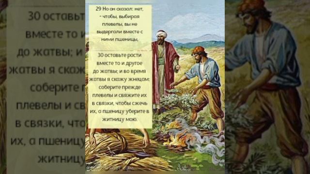 Евангелие от Матфея 13 глава. Иисус учит притчами. смотреть онлайн