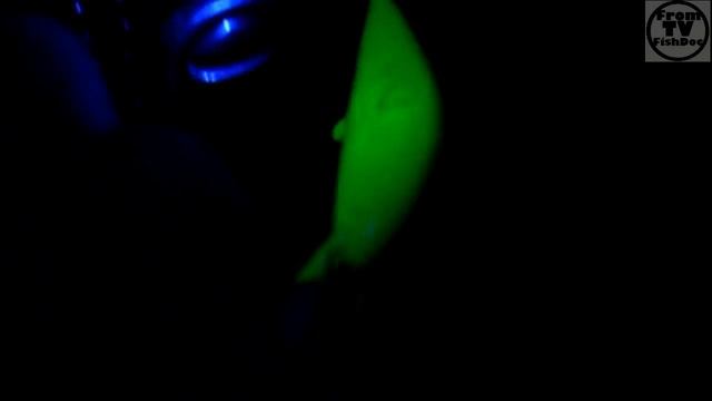 Влияние ультрафиолетового света на рыболовные приманки такие как воблер смотреть онлайн