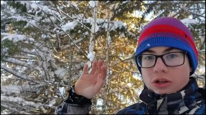 зимний шалаш в лесу без инструментов своими руками