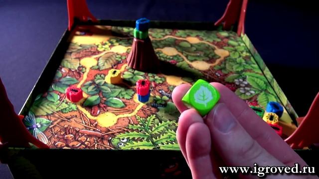 Спиндерелла. Обзор настольной игры от Игроведа.mp4 смотреть онлайн