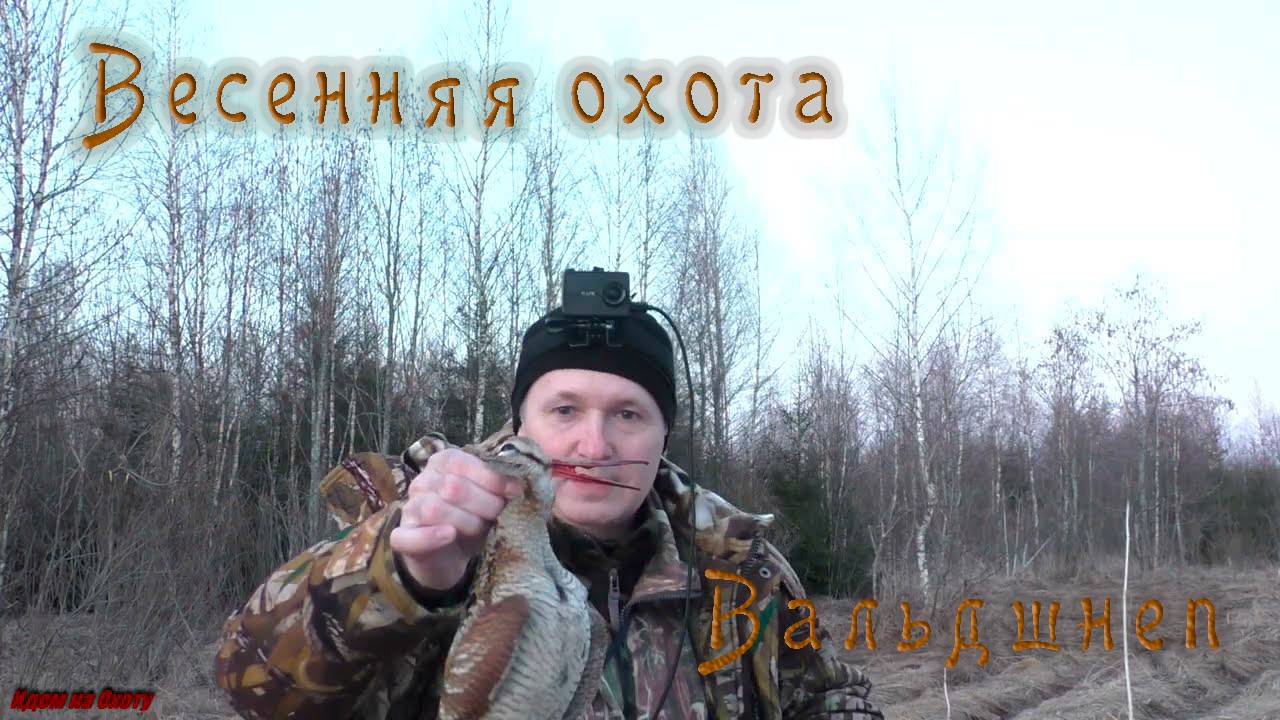 ВЕСЕННЯЯ ОХОТА НА ВАЛЬДШНЕПА. Три вечерки. смотреть онлайн