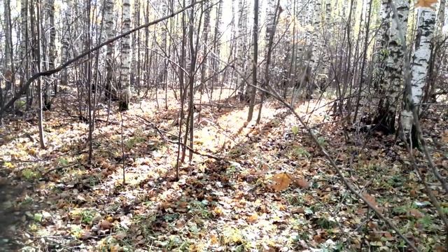 Сентябрь смотреть онлайн