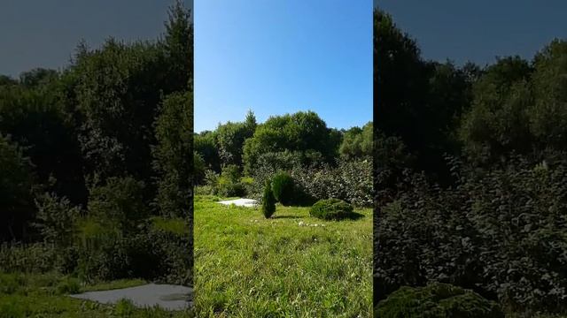 Продаётся коттедж и и участок 25 соток у леса и речки в 12 км от Минска, Заславль. Жить природой! смотреть онлайн