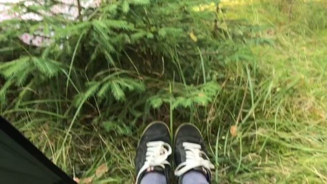 ПОХОД В ЛЕС. День 1. В лес с палатками с детьми. смотреть онлайн