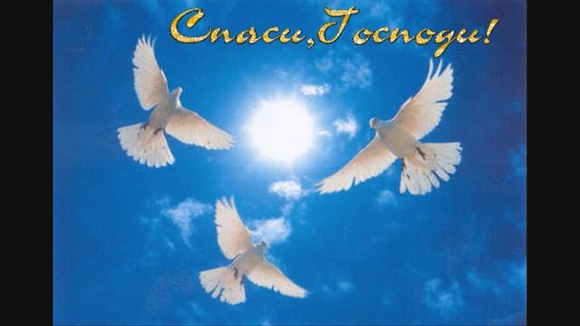 Суть человека