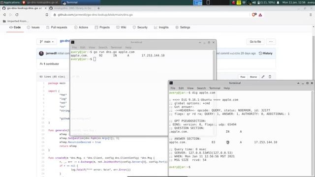 GO DNS Lookup Tool - DIG Clone смотреть онлайн