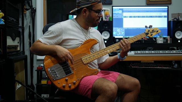 Dua Lipa - Dance The Night [Bass Cover]