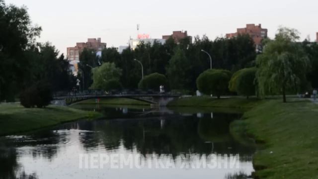 ПОЙМАЛ ЖЕНУ НА ИЗМЕНЕ - НЕОБЫЧНОЕ РАЗОБЛАЧЕНИЕ. Истории из жизни людей Аудио рассказы слушать онлай смотреть онлайн