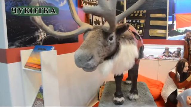 "Ивановские открытки - на все континенты", Всемирный фестиваль молодежи и студентов в Сочи, 2017 смотреть онлайн