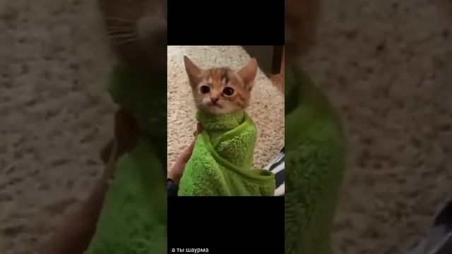 17 ноября 2022 г. смотреть онлайн