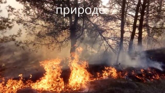 Береги лес от пожара смотреть онлайн