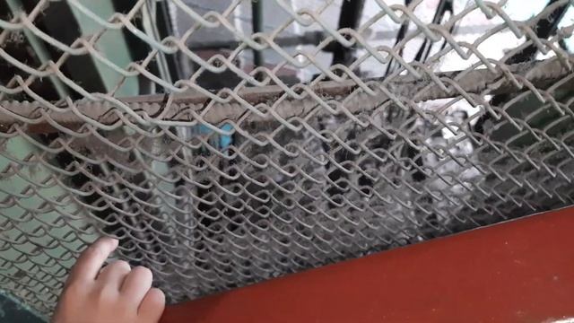 Лифт УКМ опускаеться ниже этажа 400 кг 0,71 м/с смотреть онлайн