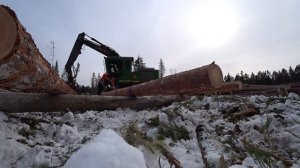 ЛЕСОЗАГОТОВКА. Раскряжёвка леса процессором.