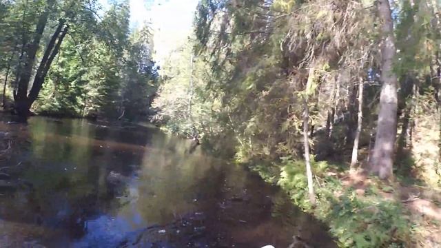 река Рощинка смотреть онлайн