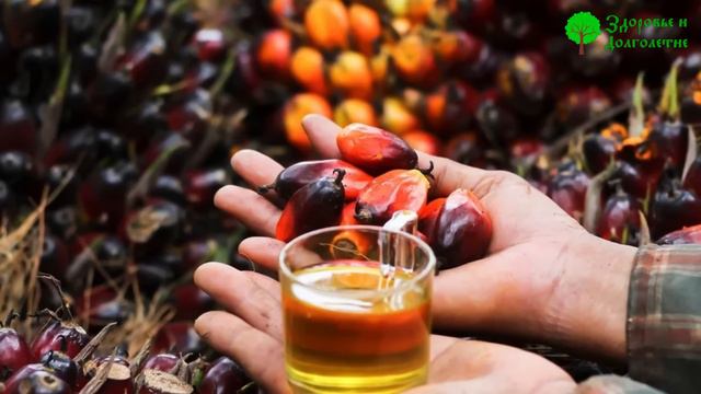 Вкусных 100 гр утром! Вот как без лекарств в Китае чистят сосуды смотреть онлайн
