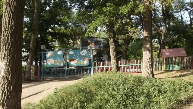 Закрытие детсада в г. Вольске Саратовской области смотреть онлайн