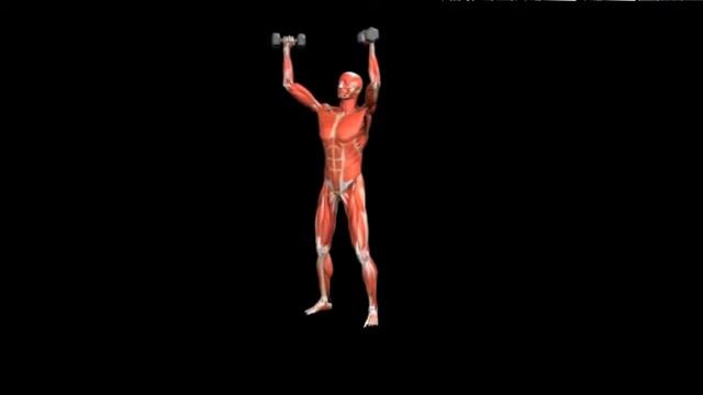 Пожимание плечами с гантелями над головой Dumbbell shrug Overhead смотреть онлайн