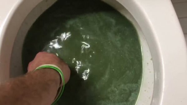 Will it Flush? - M&M's