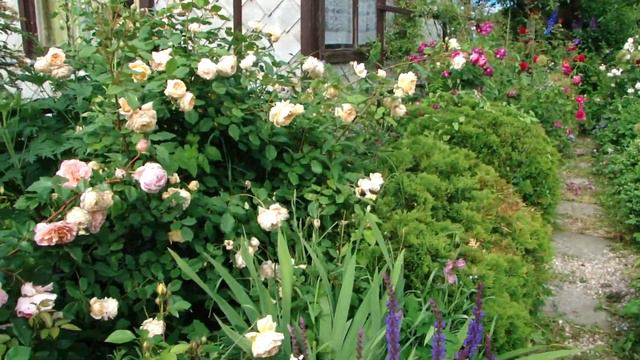 Las Bulbas, 2018. Garden of roses смотреть онлайн