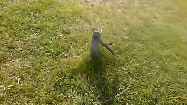 20200921_123226 ужасный запах бензина АЗС №68 Лукойл а100 Минск Орловская38 смотреть онлайн