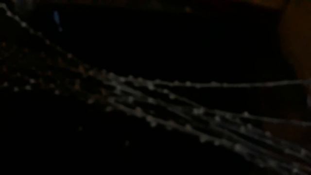 Ритуал с ПРОШЛОГОДНЕЙ ВЕРБОЙ - куда девать вербу прошлого года смотреть онлайн