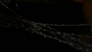 Ритуал с ПРОШЛОГОДНЕЙ ВЕРБОЙ - куда девать вербу прошлого года