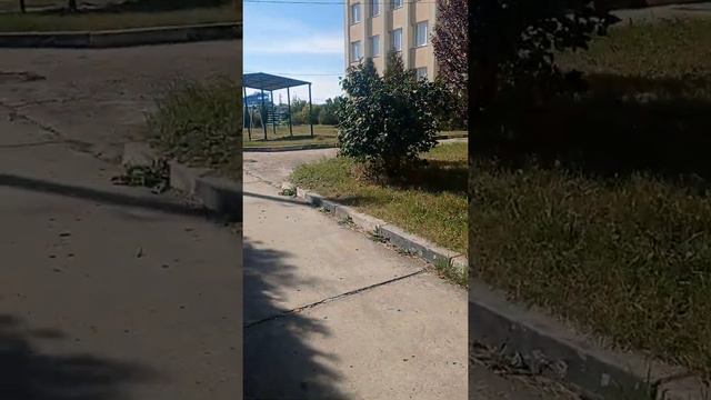 Даже не знаю что можно про это сказать смотреть онлайн