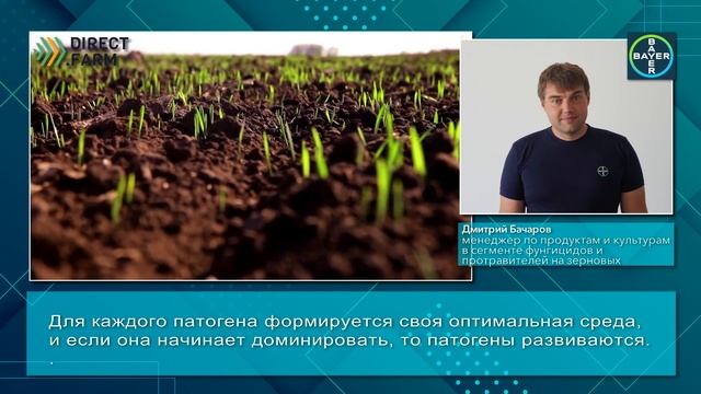 Выбор протравителя и его влияние на урожайность. Часть 1 смотреть онлайн