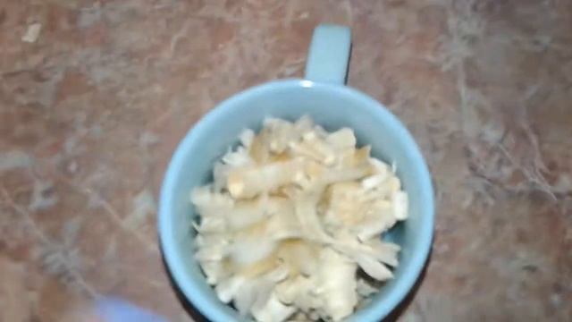 как правильно проращивать овес для дегу и других животных) смотреть онлайн