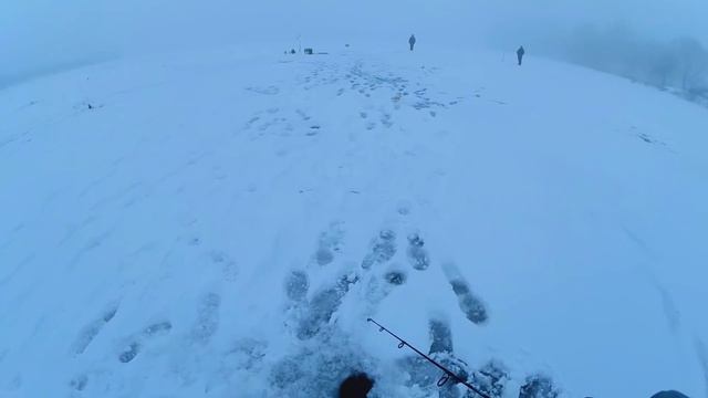 Обернулся - ФЛАЖКА НЕТ! Рыбалка на жерлицы в тумане! Ловля щуки зимой 2020! смотреть онлайн