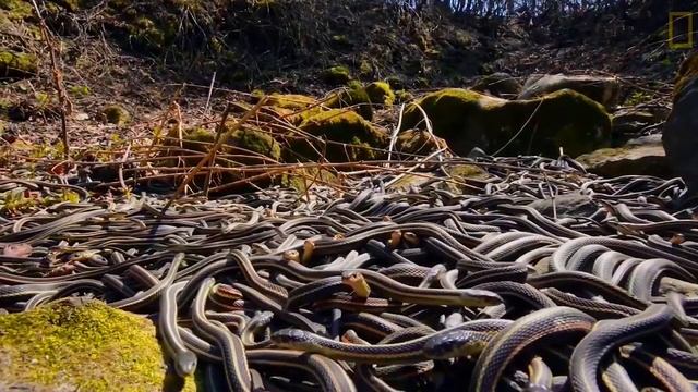 ТОП 5 САМЫХ опасных мест на ПЛАНЕТЕ смотреть онлайн