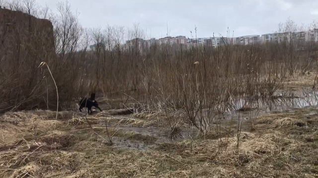 Купальный сезон 2019 открыт . Пасха смотреть онлайн