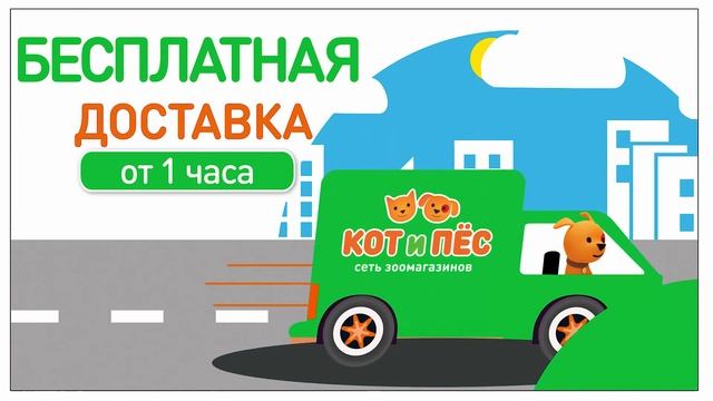 Видеозаставка для размещения на экране на точке в магазине смотреть онлайн