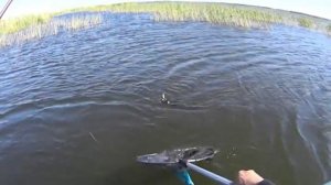 Рыбалка в Омской области оз  Черталы