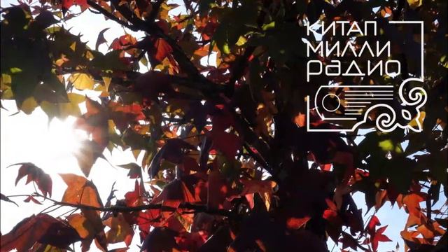 Марат Кәбиров - Сине сайлаганмын