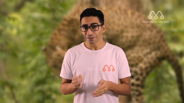 LEOPARDO COMENDO COBRA PITON GIGANTE - MAIORES DO MUNDO смотреть онлайн