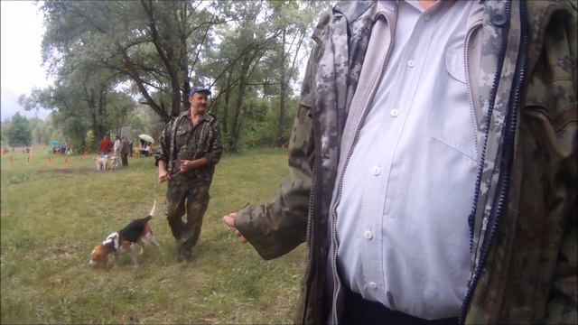 Выставка охотничьих собак г Белгород смотреть онлайн